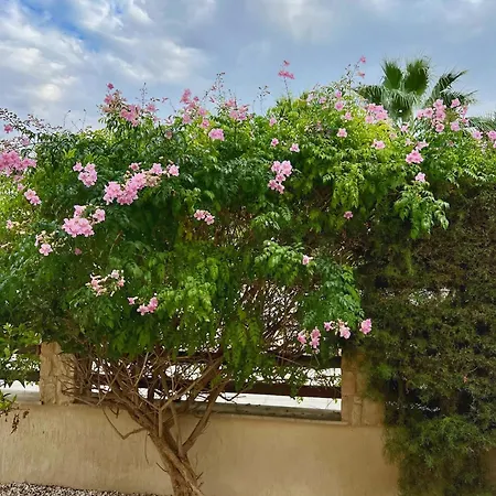 Seaview Mia Holiday home